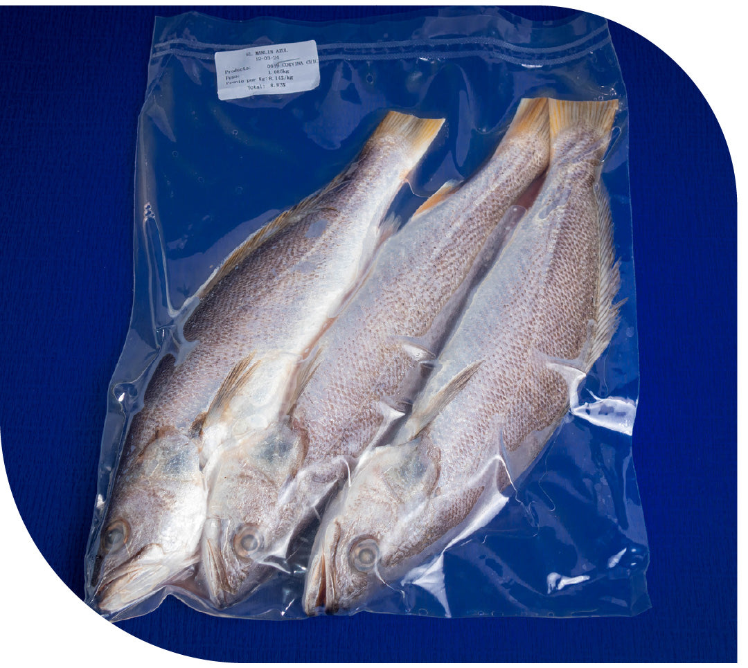 Corvina ENTERA CHICA