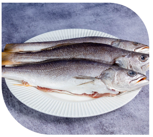 Corvina ENTERA CHICA