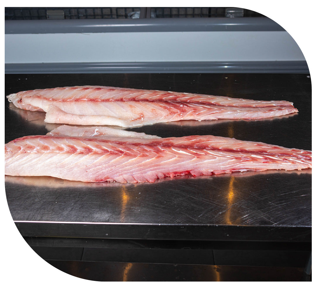 Filete de CORVINA
