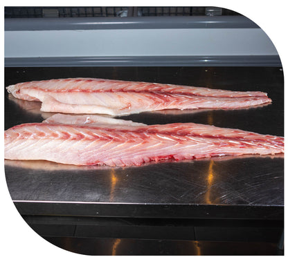 Filete de CORVINA