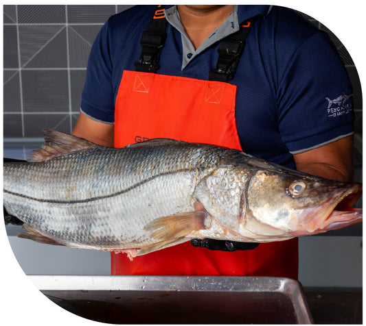 Filete de RÓBALO