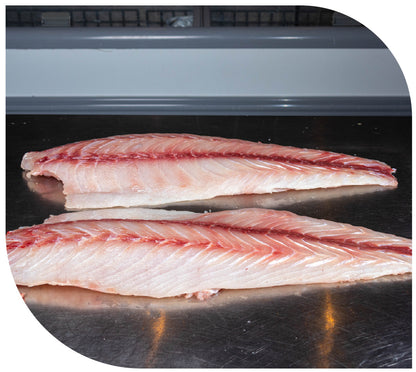 Filete de RÓBALO