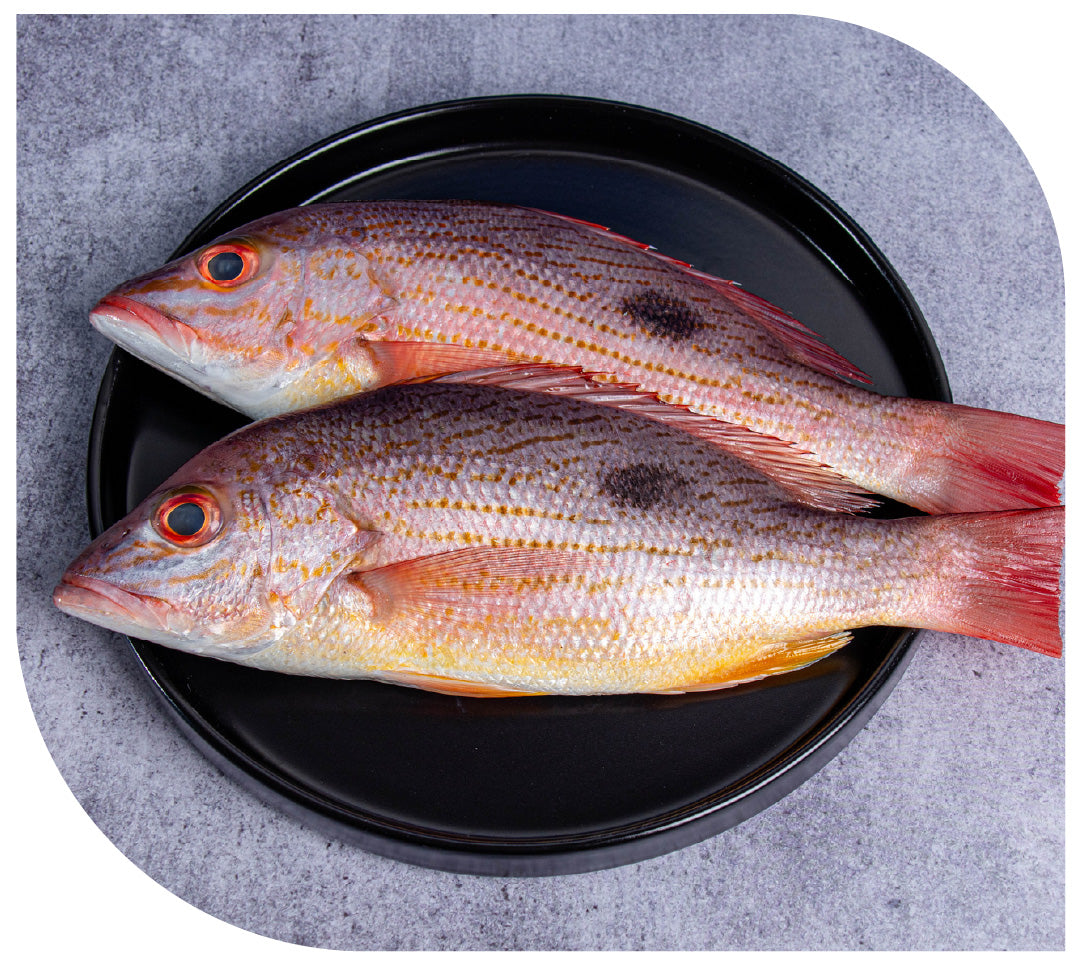 Pargo ROJO