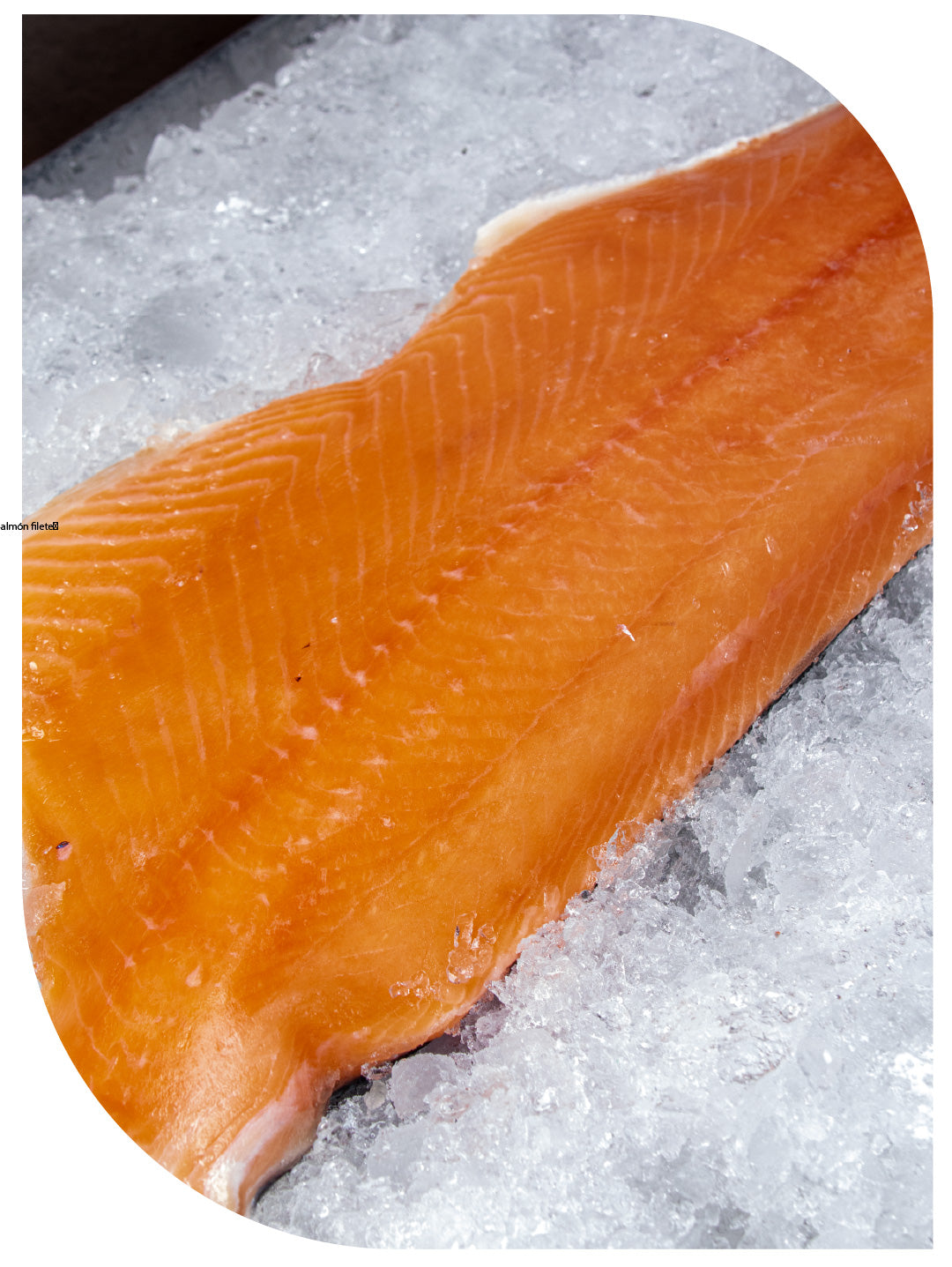 Salmón filete