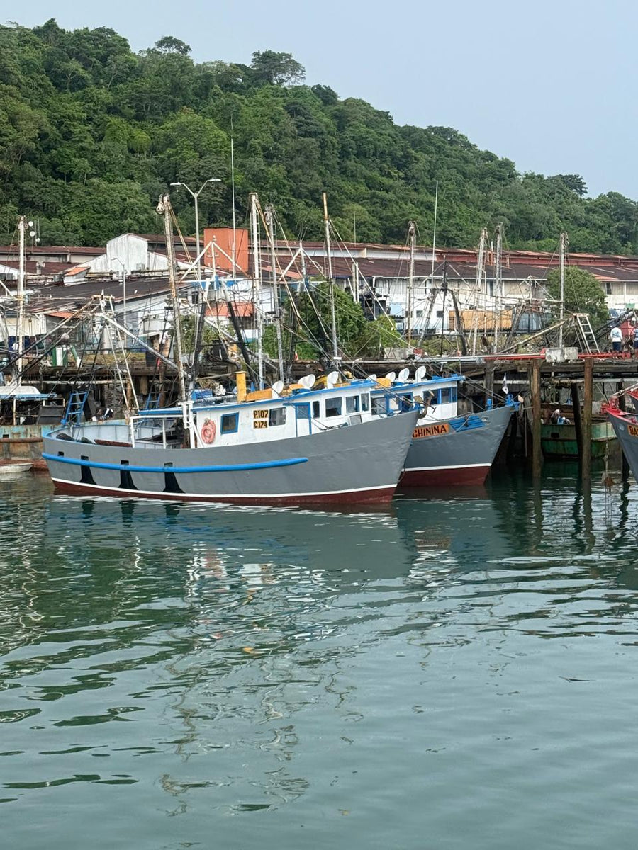 Barco de pesca de ARGAPA