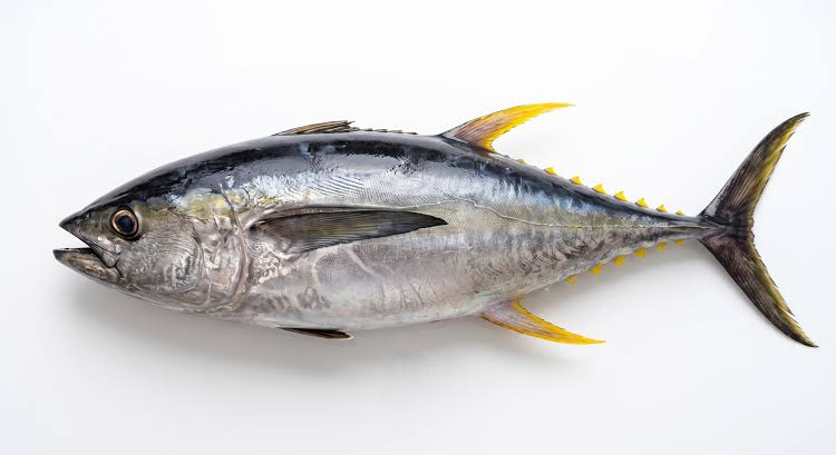 Atún Yellow Fin