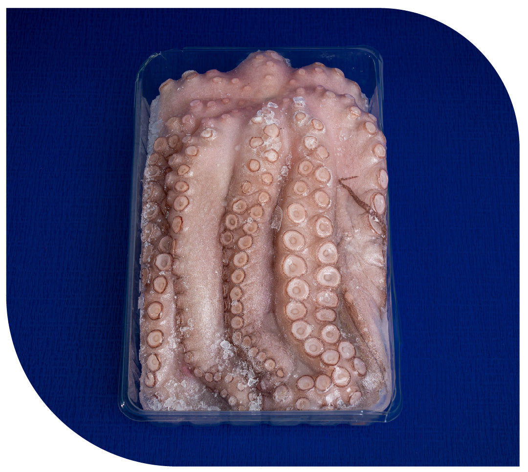 Pulpo Nacional e Importado